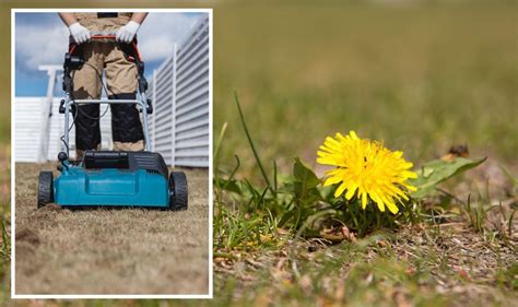 The Importance of Fertilizing: Turf Magic Lawn Care for Nutrient-Rich Grass